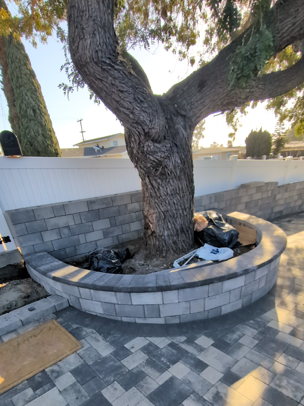 Retaining Wall Tree Rings & Raised Planters in San Diego: Protecting Mature Trees with Hardscaping
